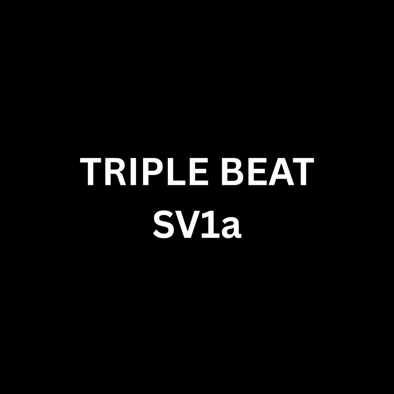 TRIPLE BEAT - SV1a